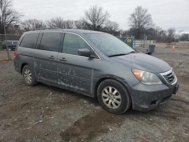 2010 Honda Odyssey EXL