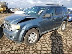 Ford Escape Vehiculos salvage en venta: 2010 Ford Escape XLT