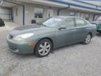 2005 Lexus ES 330