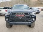 2023 Toyota Tacoma Access Cab