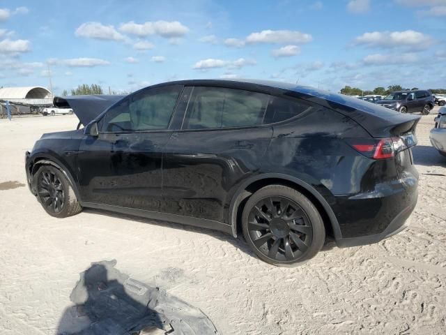 2020 Tesla Model Y