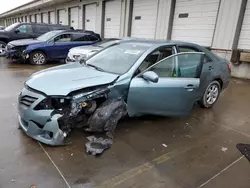 Salvage cars for sale at Louisville, KY auction: 2011 Toyota Camry Base