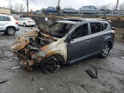 Salvage cars for sale at Marlboro, NY auction: 2018 Toyota Rav4 Adventure