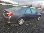 2013 Toyota Camry Hybrid