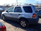 2005 Ford Escape XLT