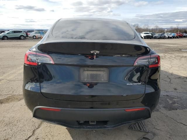 2020 Tesla Model Y