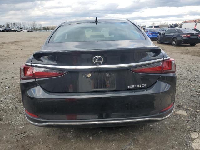 2024 Lexus ES 300H Base