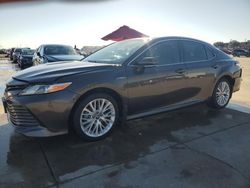 Salvage cars for sale at Grand Prairie, TX auction: 2019 Toyota Camry Hybrid