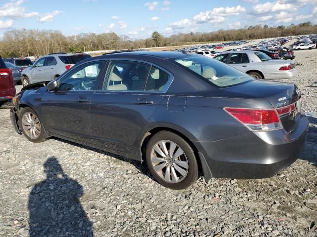 2011 Honda Accord EXL