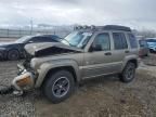 2003 Jeep Liberty Renegade