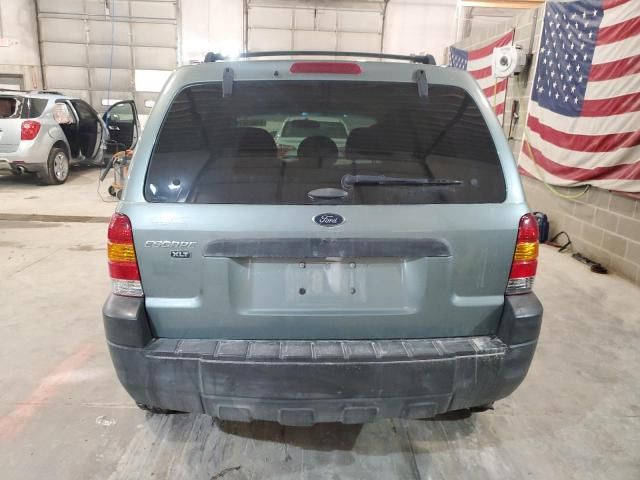 2005 Ford Escape XLT