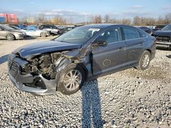 Salvage cars for sale at Columbus, OH auction: 2019 Hyundai Sonata SE