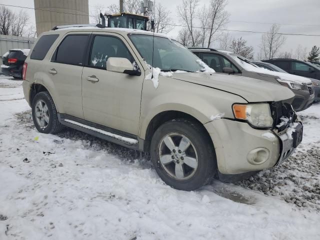 2010 Ford Escape Limited