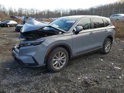 Salvage cars for sale at Baltimore, MD auction: 2024 Honda CR-V EXL