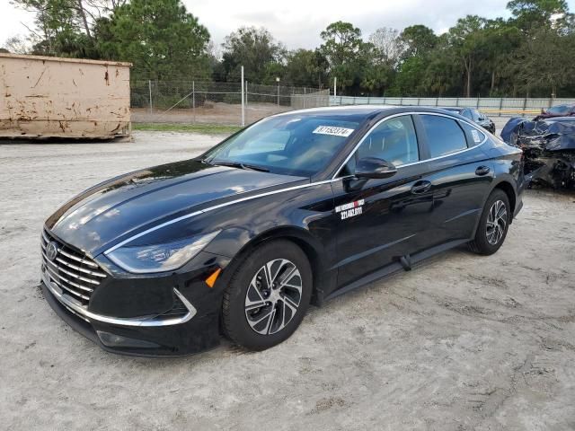 2023 Hyundai Sonata Hybrid