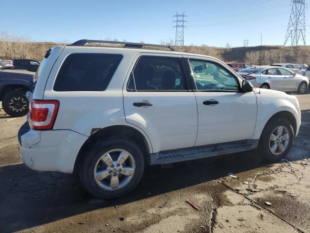 2010 Ford Escape XLT