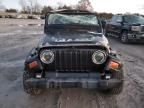 1999 Jeep Wrangler / TJ SE