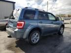 2010 Ford Escape Limited