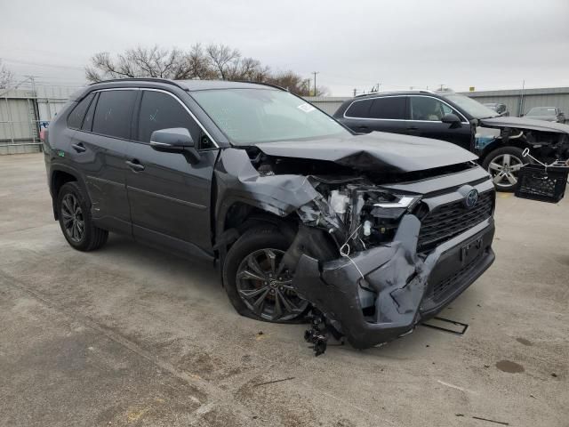 2023 Toyota Rav4 XLE Premium