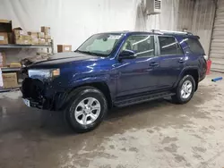 Toyota 4runner salvage cars for sale: 2020 Toyota 4runner SR5/SR5 Premium