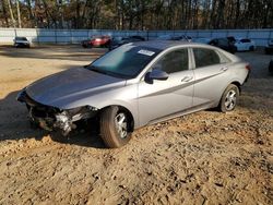 Hyundai Elantra salvage cars for sale: 2024 Hyundai Elantra SE