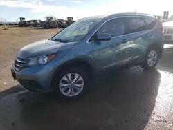 Salvage cars for sale at Elgin, IL auction: 2013 Honda CR-V EXL