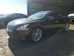 Nissan Maxima salvage cars for sale: 2010 Nissan Maxima S