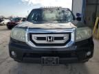 2011 Honda Pilot EXL