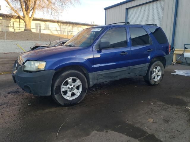 2006 Ford Escape XLT