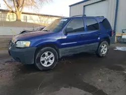 2006 Ford Escape XLT en venta en Albuquerque, NM