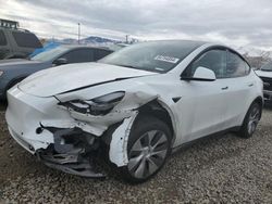 Tesla salvage cars for sale: 2021 Tesla Model Y