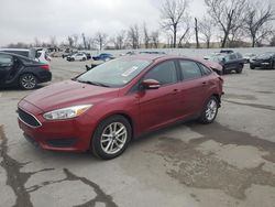 Salvage cars for sale at Bridgeton, MO auction: 2015 Ford Focus SE