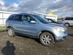 2009 Honda CR-V EXL