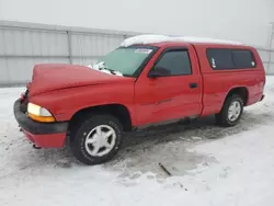 Carros salvage a la venta en subasta: 1997 Dodge Dakota