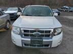 2009 Ford Escape Limited