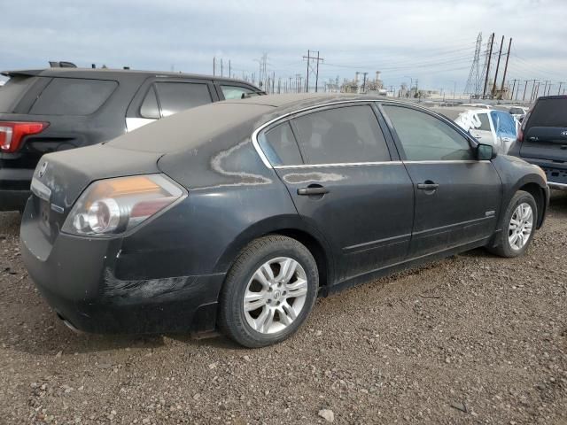 2010 Nissan Altima Hybrid