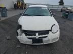 2005 Dodge Neon Base