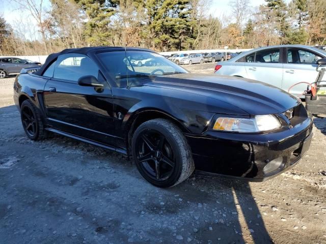 1999 Ford Mustang Cobra SVT