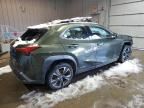 2019 Lexus UX 250H