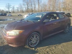 2007 Scion TC en venta en Waldorf, MD