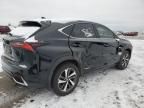 2019 Lexus NX 300H