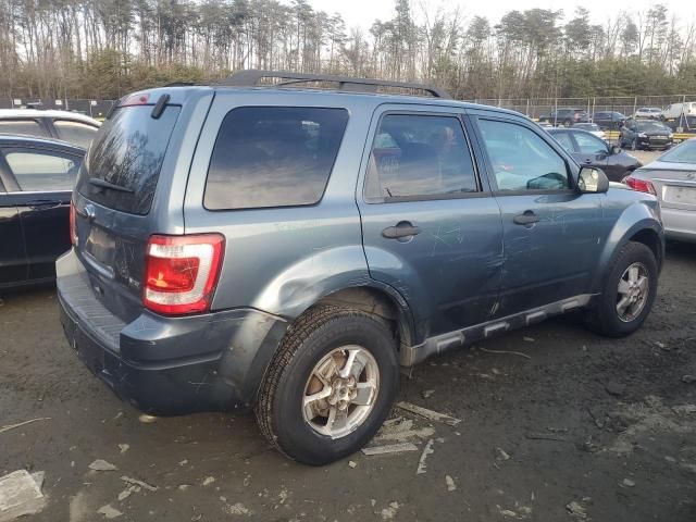 2010 Ford Escape XLT