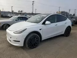 Tesla Vehiculos salvage en venta: 2021 Tesla Model Y