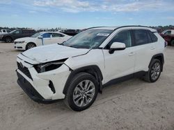 Toyota rav4 xle Premium salvage cars for sale: 2021 Toyota Rav4 XLE Premium