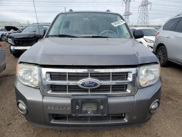 2012 Ford Escape XLT