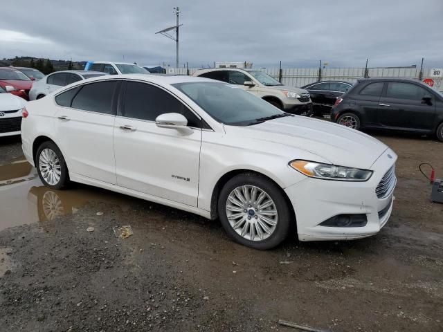 2013 Ford Fusion SE Hybrid