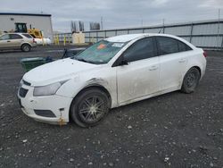 Chevrolet salvage cars for sale: 2013 Chevrolet Cruze LT