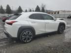 2020 Lexus UX 250H