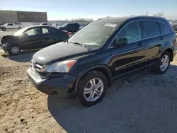 Salvage SUVs for sale at auction: 2010 Honda CR-V EX