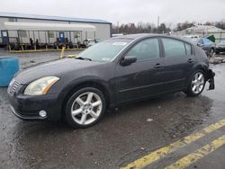 Salvage cars for sale at Pennsburg, PA auction: 2005 Nissan Maxima SE